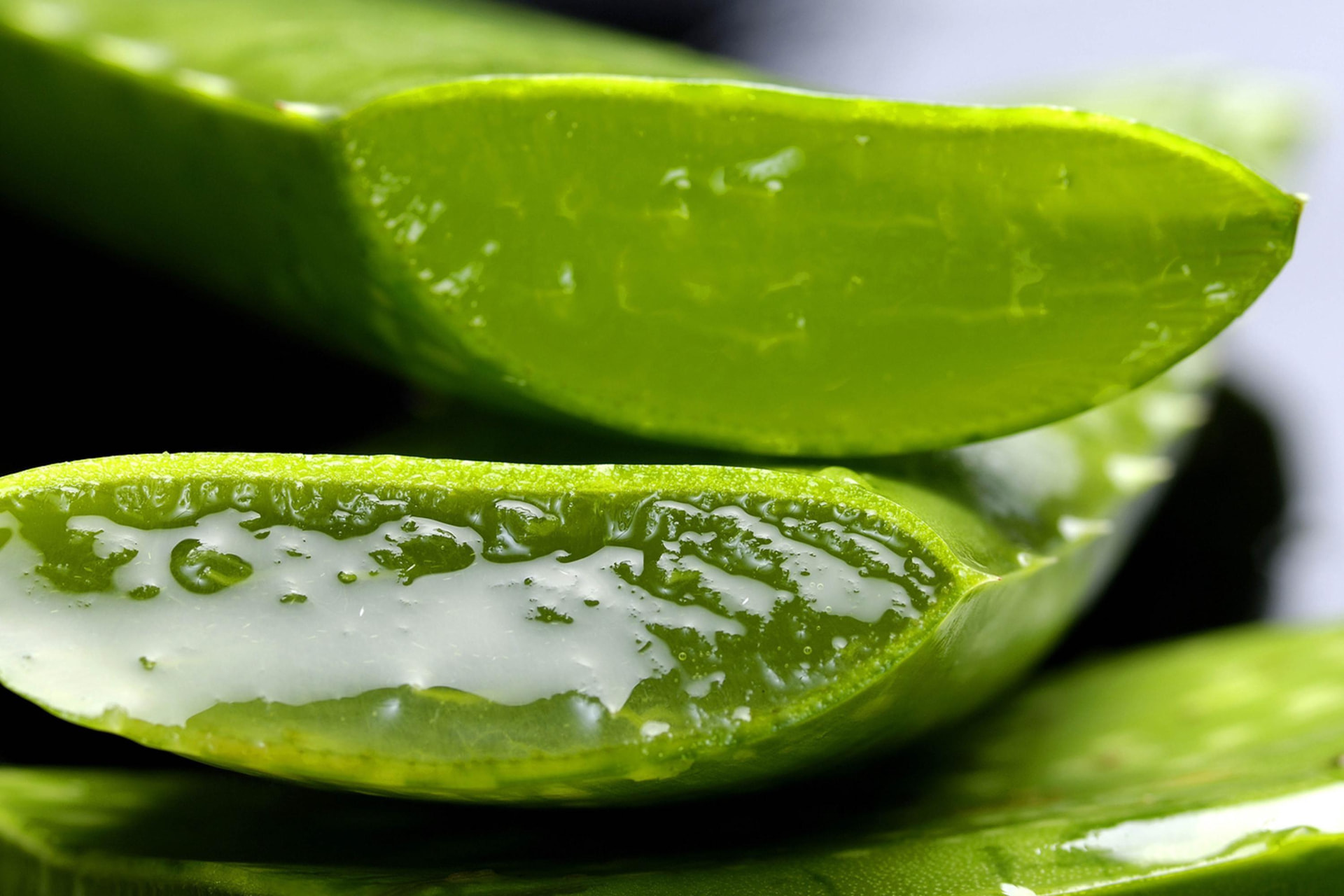 Presek lista aloe vere sa providnim gelom