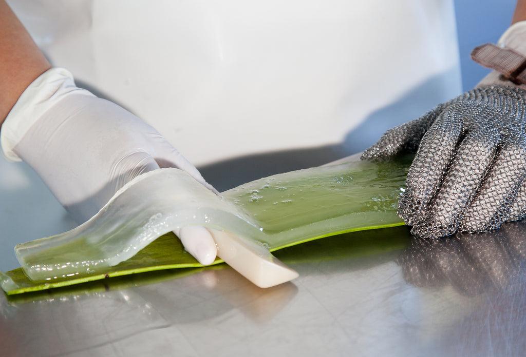 Uklanjanje kore lista aloe vere tokom prerade gela